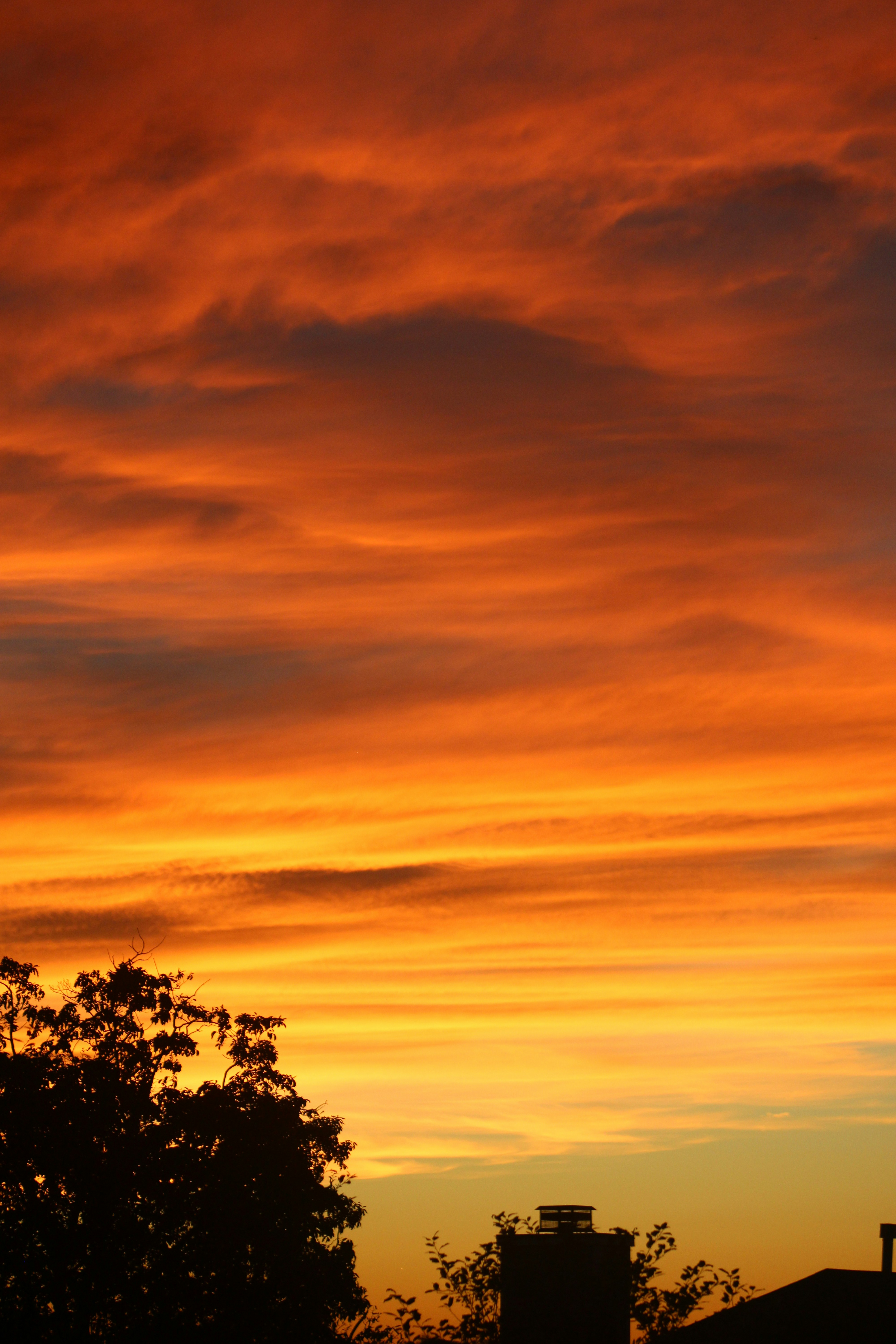 Photo by seandoherty886