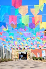 Colorful house banners hanging proudly in a lively school hallway.