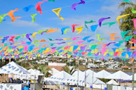 Colorful event banners fluttering in the breeze outside the venue of a Yogic Olympi Foundation gathering.