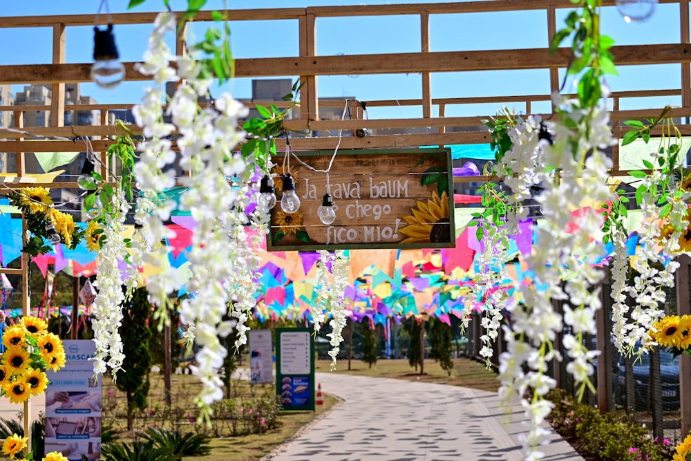 a bunch of flowers that are on a walkway