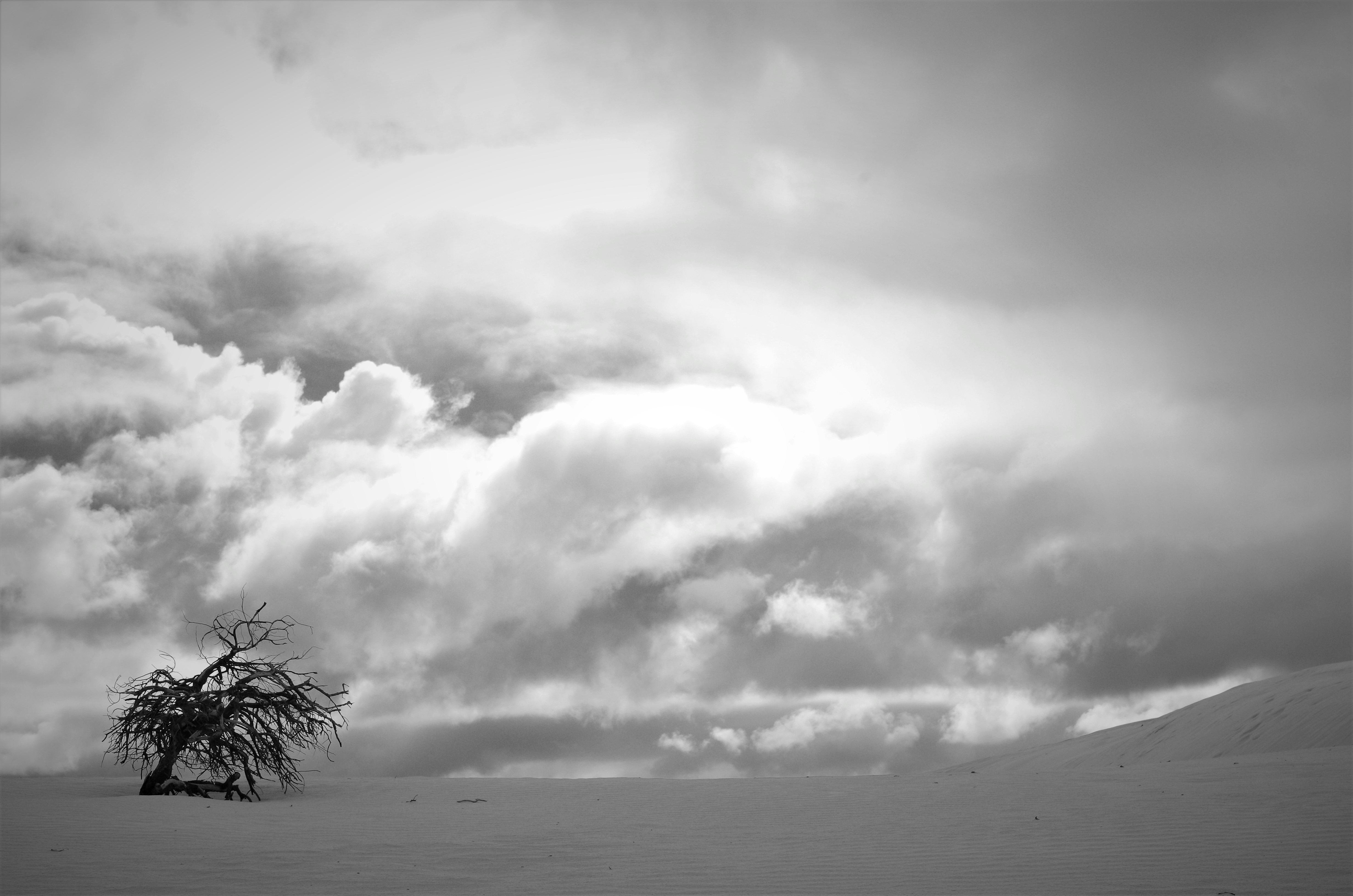 Photo by photoken123