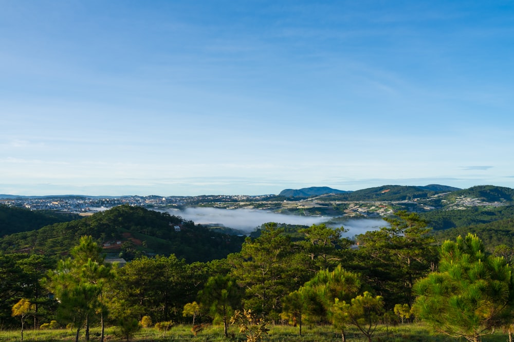 a scenic view of a valley with trees and clouds in the distance