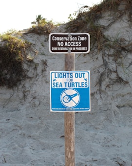 Two signs are mounted on a wooden post set against a sandy hillside with sparse vegetation. The top sign reads 'Conservation Zone No Access Dune Restoration In Progress' in brown and white. Below it, a blue sign with the phrase 'Lights Out for Sea Turtles' includes a graphic of a crossed-out flashlight.