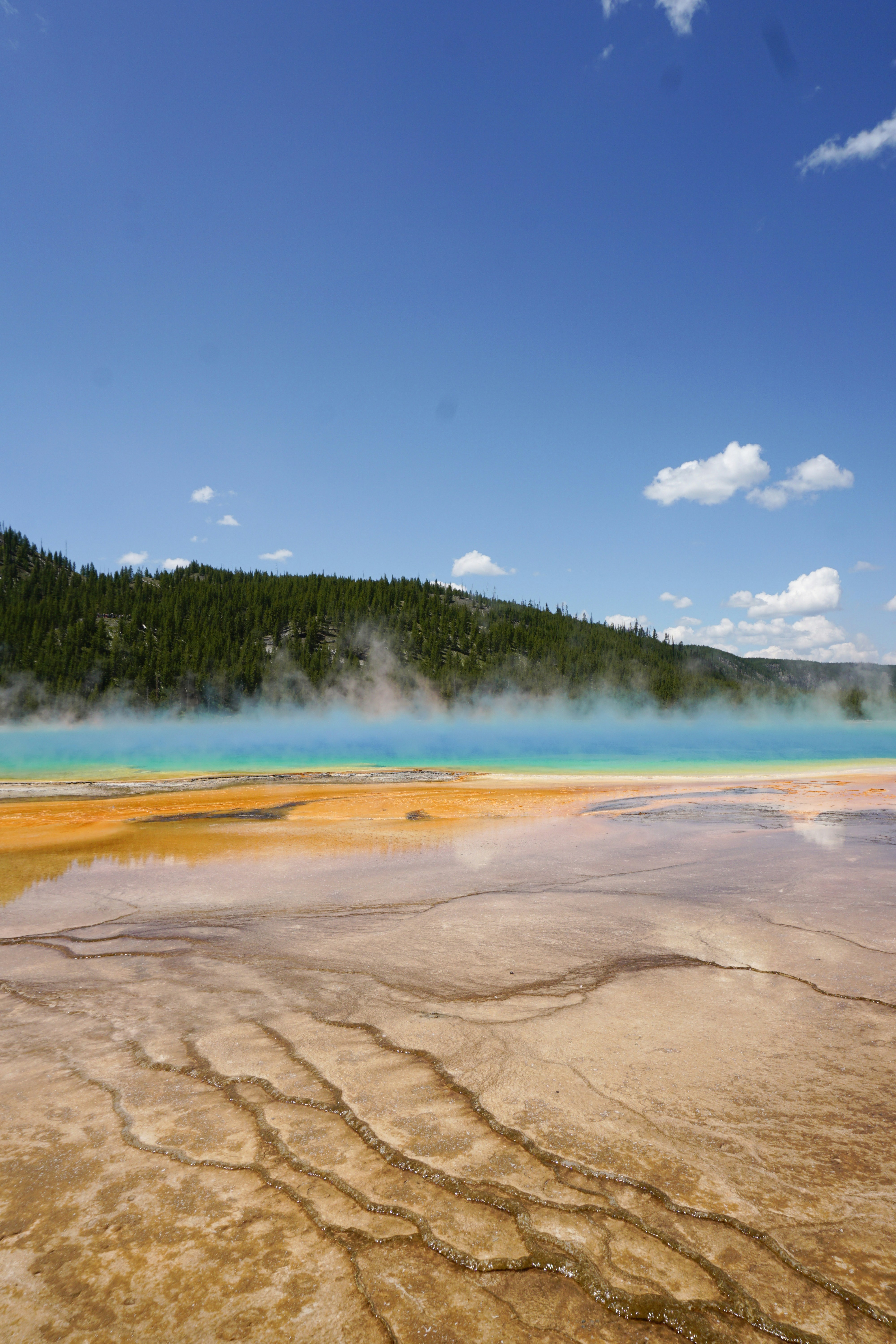 un grande specchio d'acqua circondato da una foresta