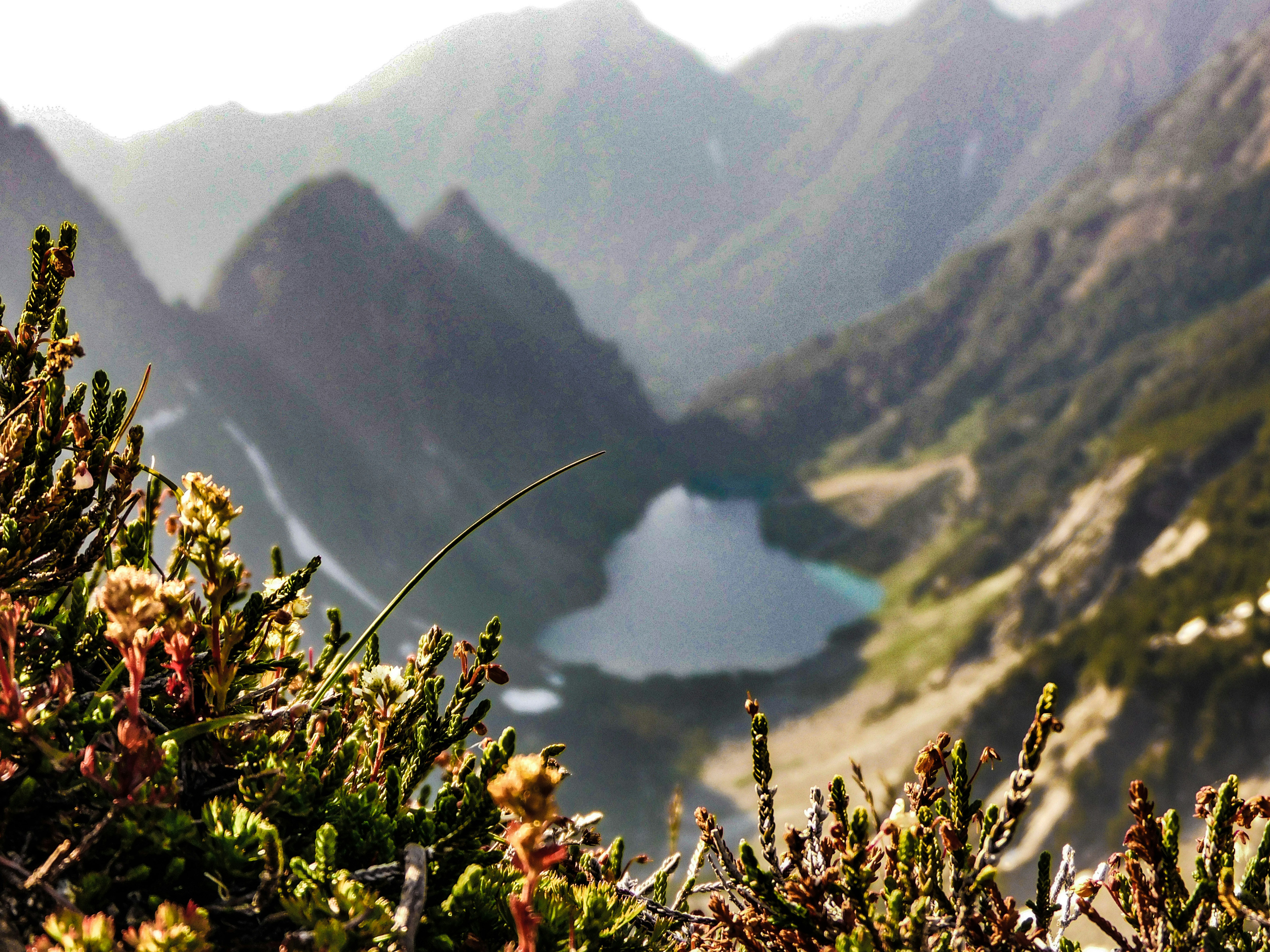 Pemandangan danau dan pegunungan dari puncak bukit