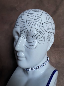 A ceramic bust depicting a phrenology head with labeled regions indicating different mental faculties and characteristics. The bust is adorned with a beaded necklace and set against a neutral, textured background.