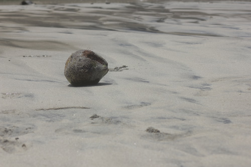 a rock sitting on top of a sandy beach