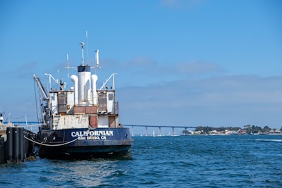 A large ship is docked at a pier on a calm body of water. The back of the ship, named 'CALIFORNIAN' from San Diego, CA, is visible. In the distance, a bridge spans across the water, connecting two land masses. There are several small boats in the water and buildings along the shoreline under a clear blue sky with few clouds.