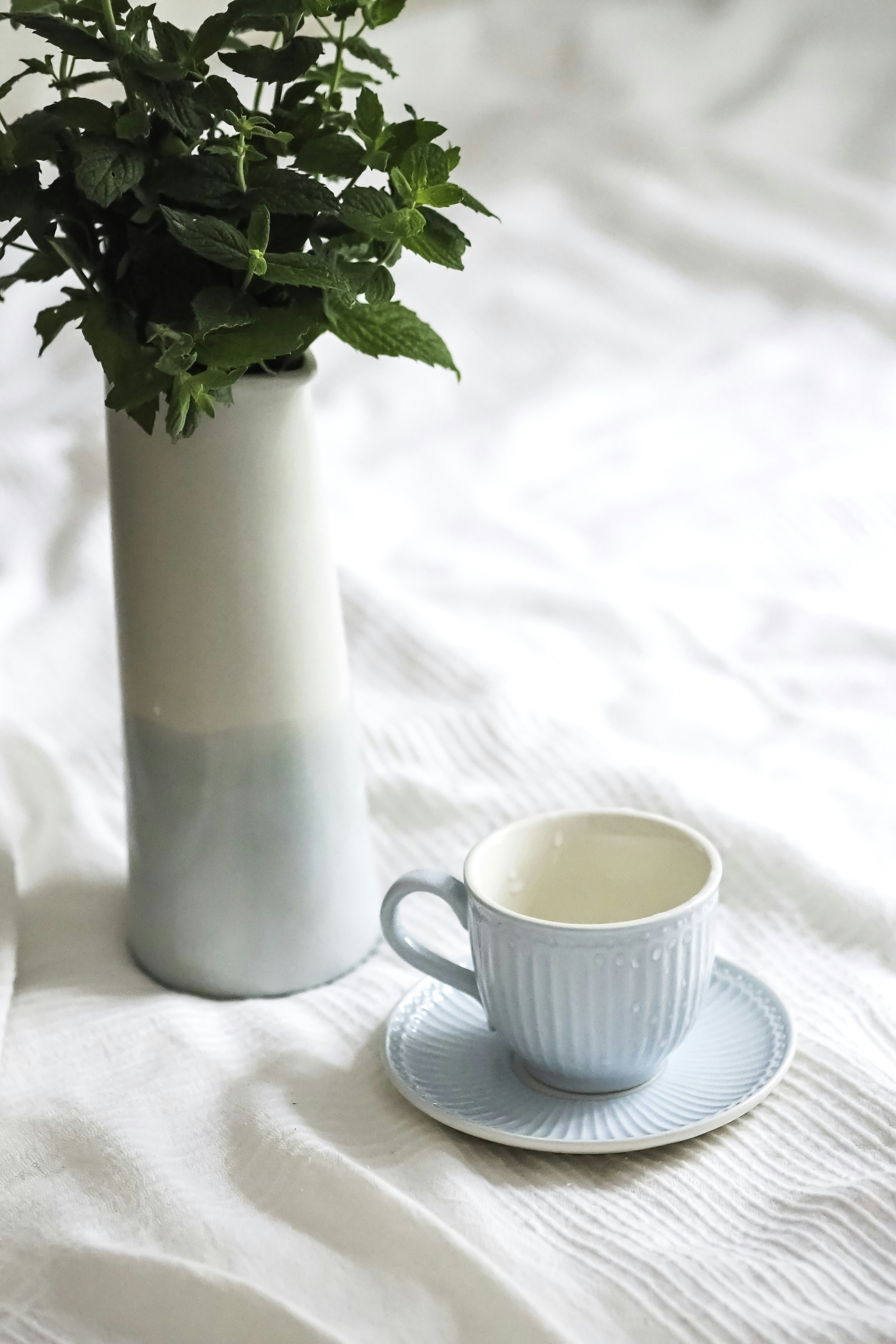 Photo by laurachouette