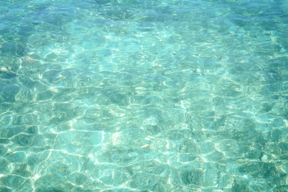 the water is crystal clear and blue