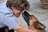 A cheerful child gently petting a small therapy dog during a school session.