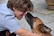 A cheerful child gently petting a small therapy dog during a school session.