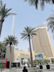 A modern urban scene featuring tall palm trees, skyscrapers, and the entrance to a shopping mall with the name 'Dubai Mall' prominently displayed. The architecture is sleek and contemporary, with flags lining the pathway to the entrance.