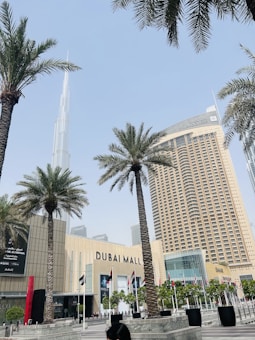 A modern urban scene featuring tall palm trees, skyscrapers, and the entrance to a shopping mall with the name 'Dubai Mall' prominently displayed. The architecture is sleek and contemporary, with flags lining the pathway to the entrance.