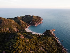A serene beach view at Ilha Grande with crystal clear water and lush green hills.