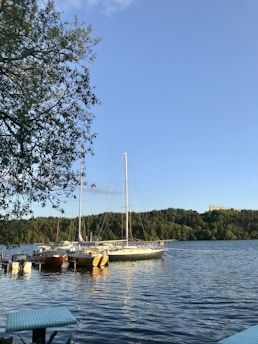 A serene lakeside scene features several sailboats docked near a lush, tree-covered shoreline. The sky is clear and blue, with a few scattered clouds, while a tree branch extends from the left side, partially shading the water below. In the background, a hill rises with green foliage and a small building visible at the top.