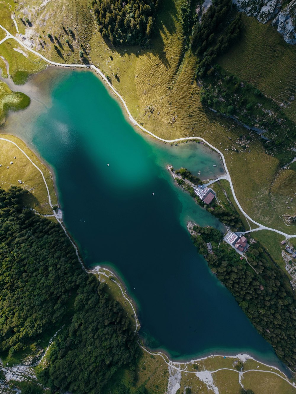 a large body of water surrounded by lush green trees