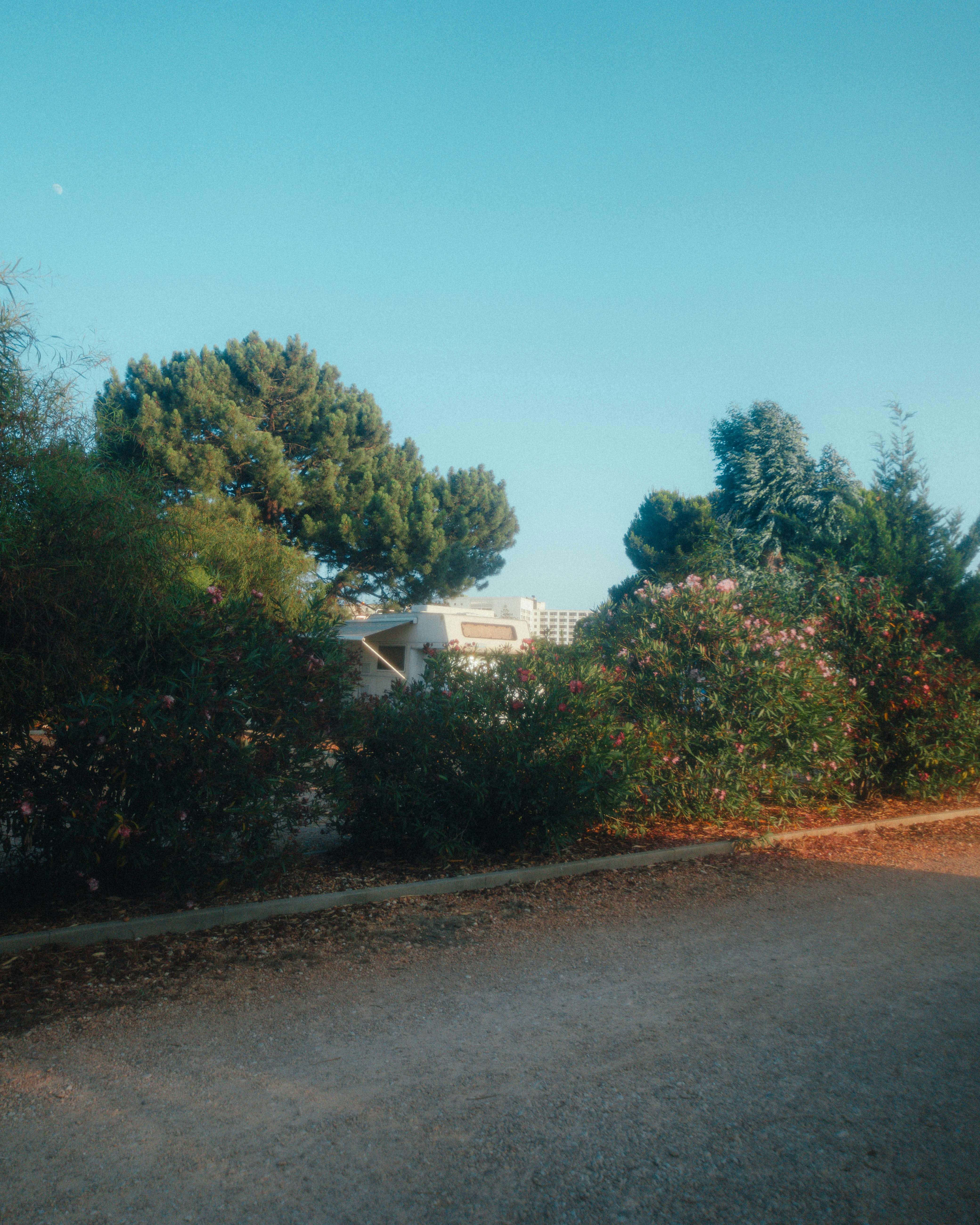 Photo by marianacbras