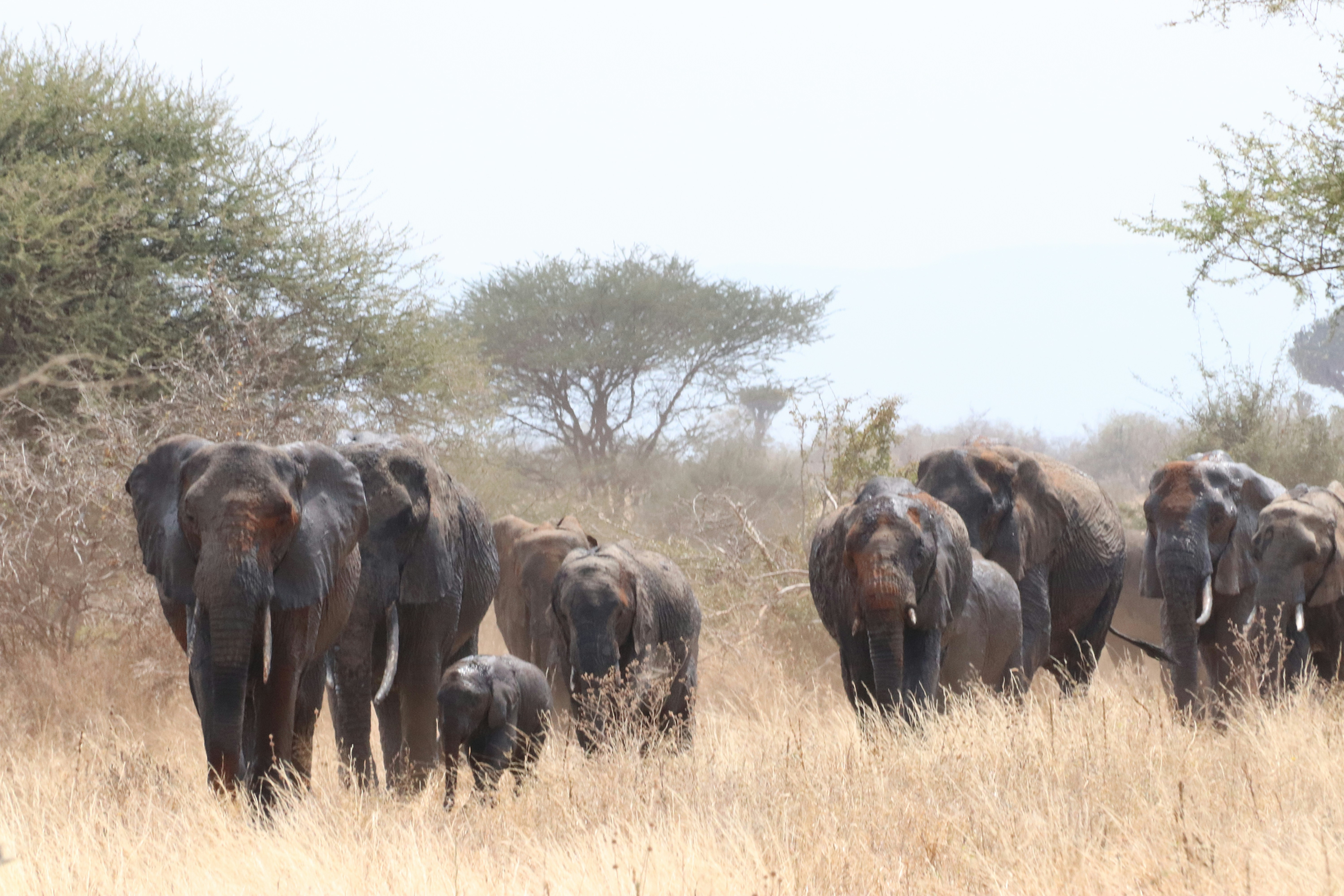 Photo by stijnvandenberg