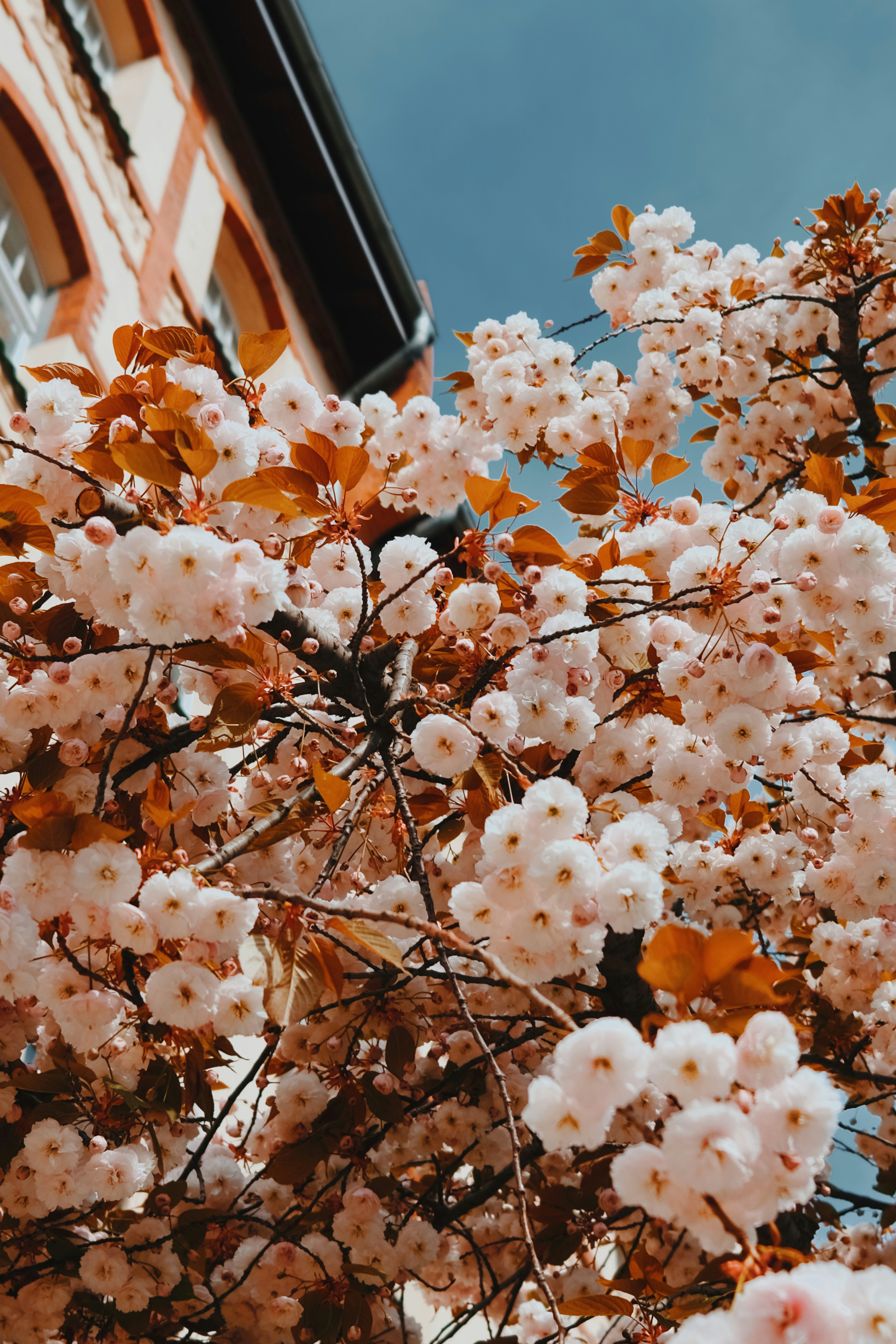 Photo by cherenkevich