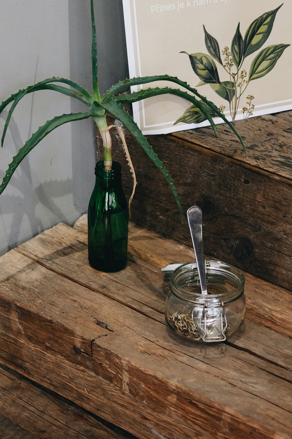 a plant in a glass bowl on a wooden table