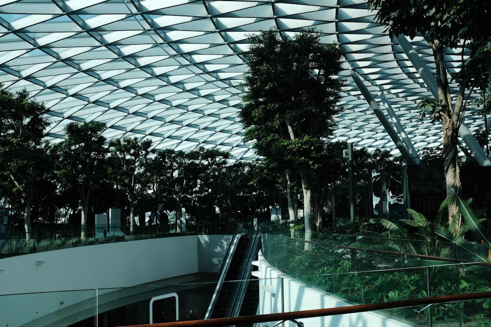 a glass ceiling in a building with trees in the background