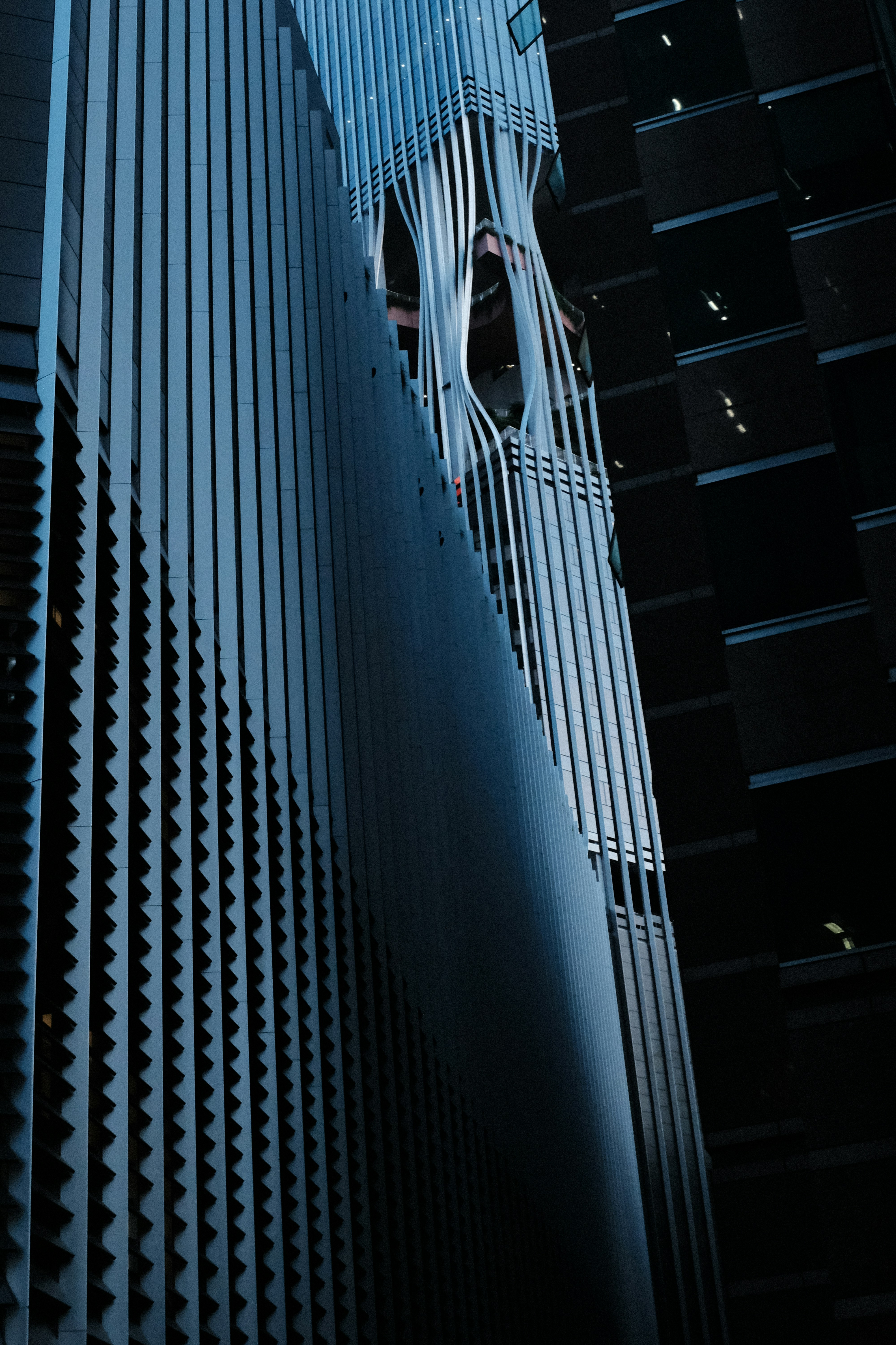 Photo by danishprakash