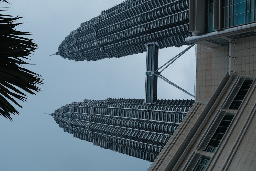 a very tall building next to a palm tree