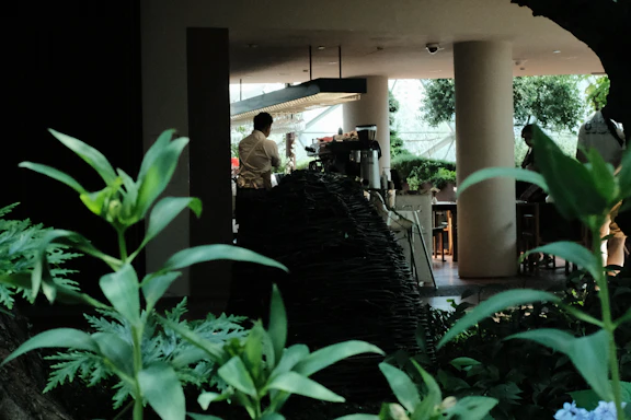 A warm, inviting workspace with coffee drying equipment and a friendly team member ready to assist.