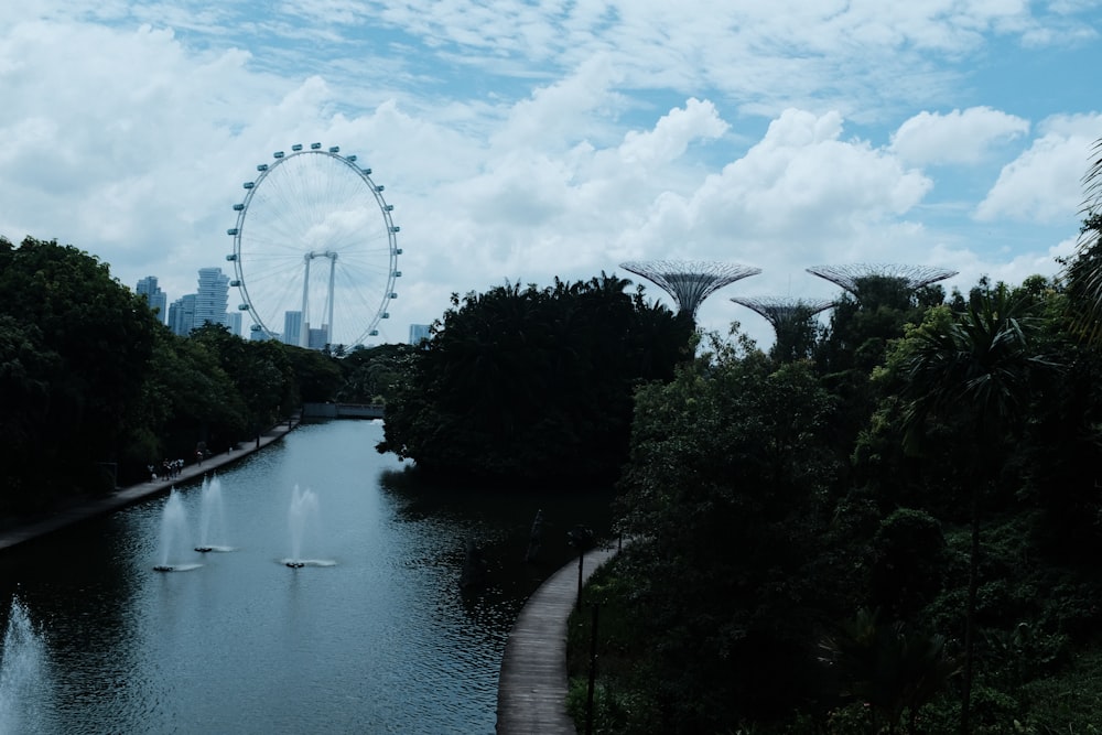 a view of a river with a ferris wheel in the background