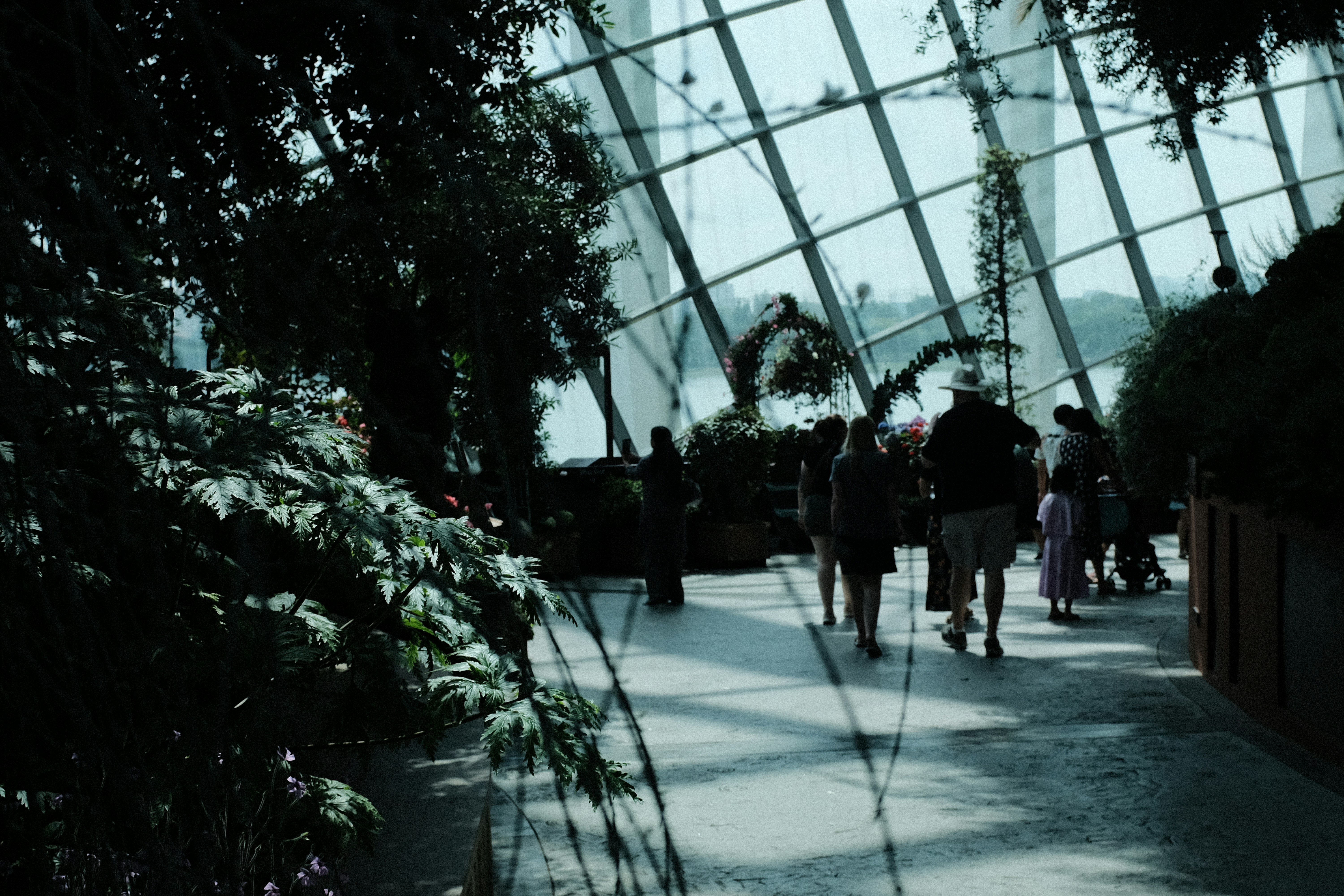 Bright greenhouse interior with organized plant shelves and natural sunlight streaming through glass ceiling, professional horticulture setting