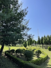 A well-maintained garden with various types of trees and bushes is present under a clear blue sky. The neatly trimmed bushes form geometric shapes, surrounded by a lush green lawn. Tall evergreen trees line the background, and a metal tower is visible in the distance.