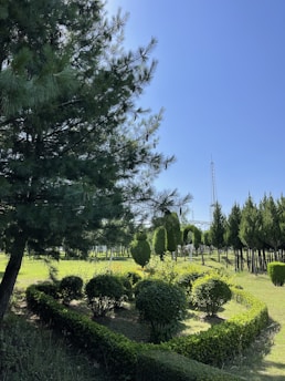 A well-maintained garden with various types of trees and bushes is present under a clear blue sky. The neatly trimmed bushes form geometric shapes, surrounded by a lush green lawn. Tall evergreen trees line the background, and a metal tower is visible in the distance.