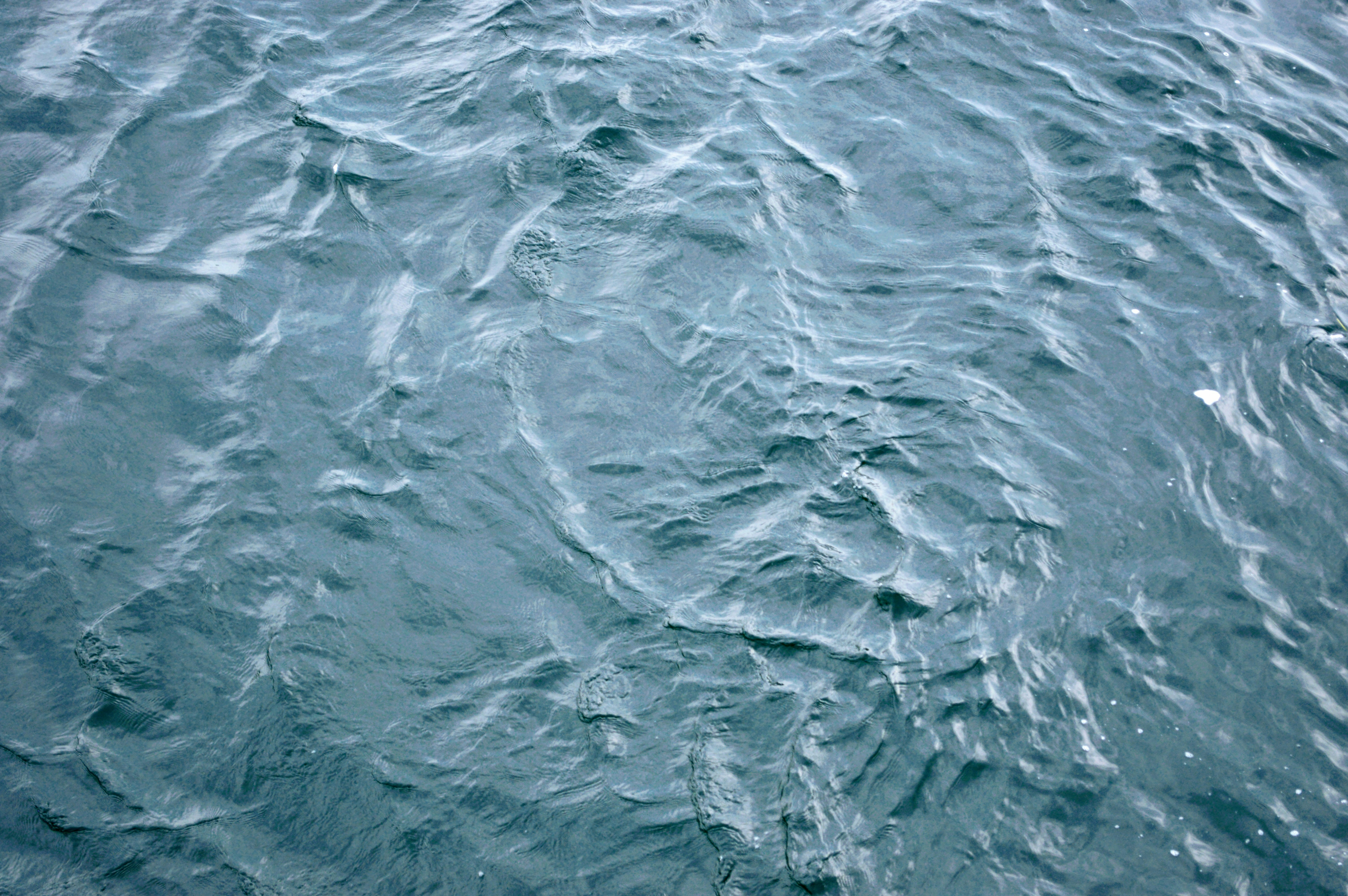 Photo by rmacleod2323