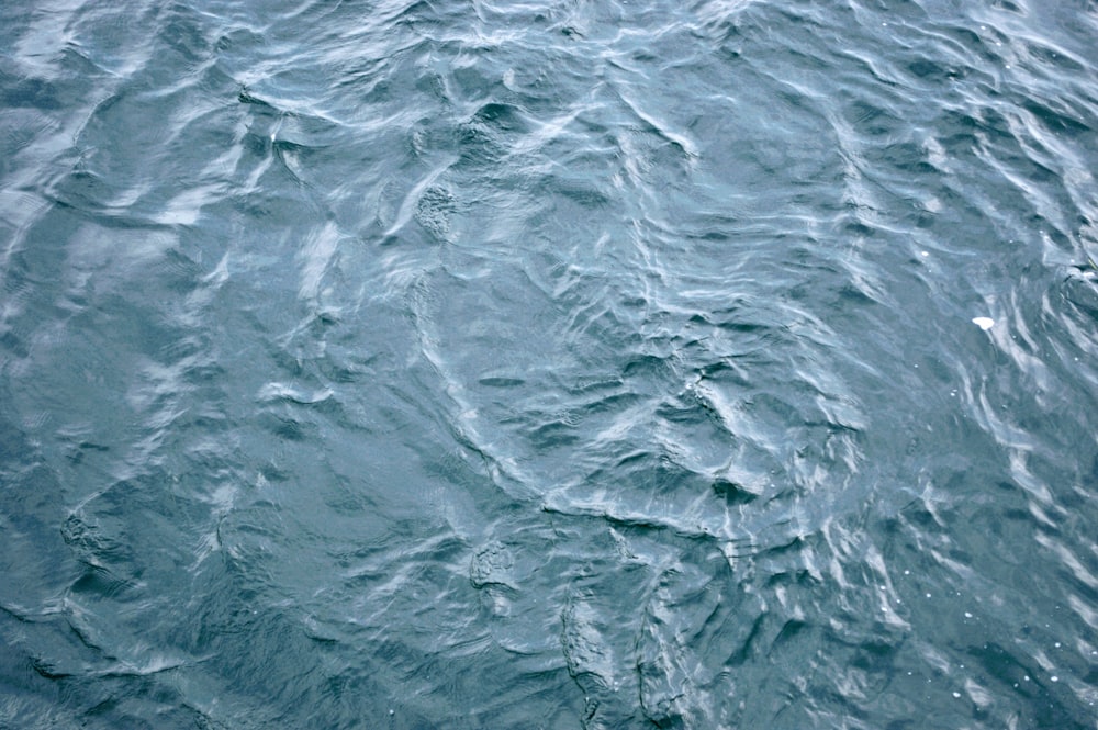 a large body of water with waves on it