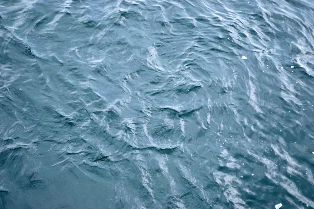 a large body of water with small waves