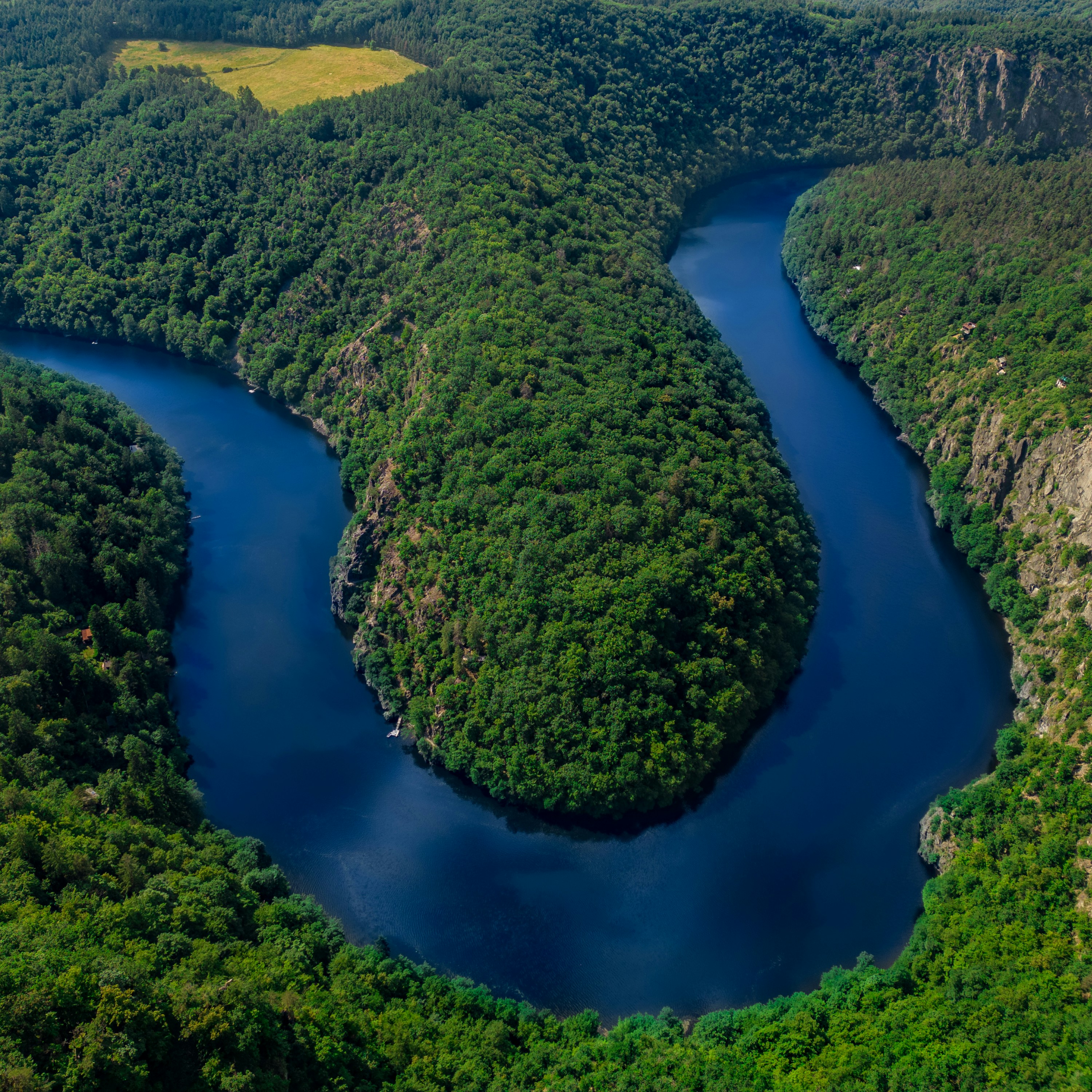 a river running through a lush green forest