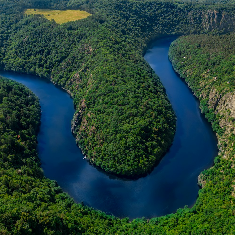 a river running through a lush green forest