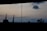 A tall metal antenna structure stands against a twilight sky, silhouetted by dark clouds. Birds are flying in formation across the sky, and rooftops with angular shapes are visible at the bottom of the image along with outlines of tree branches.