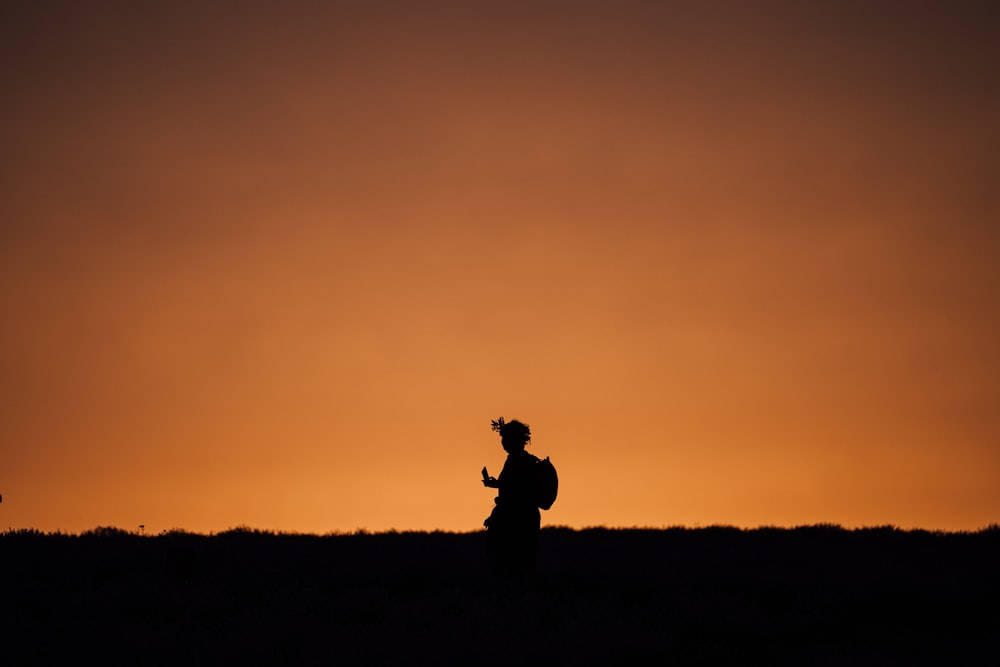 a person standing in a field at sunset