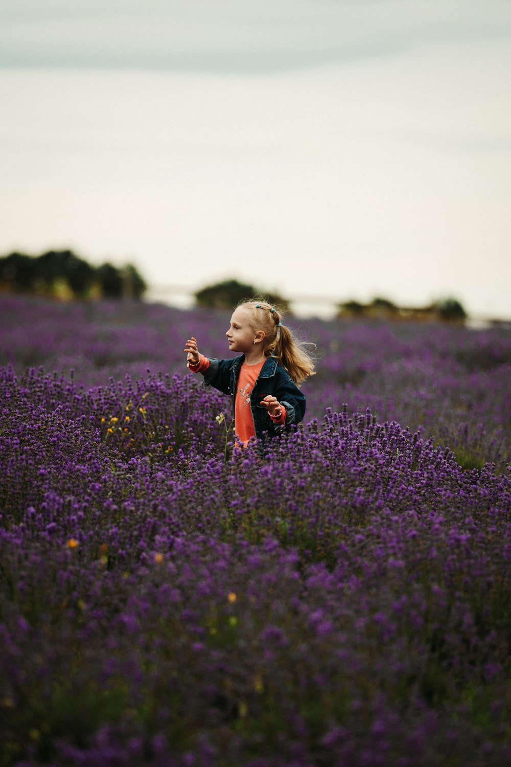 a little girl standing in a field of purple flowers