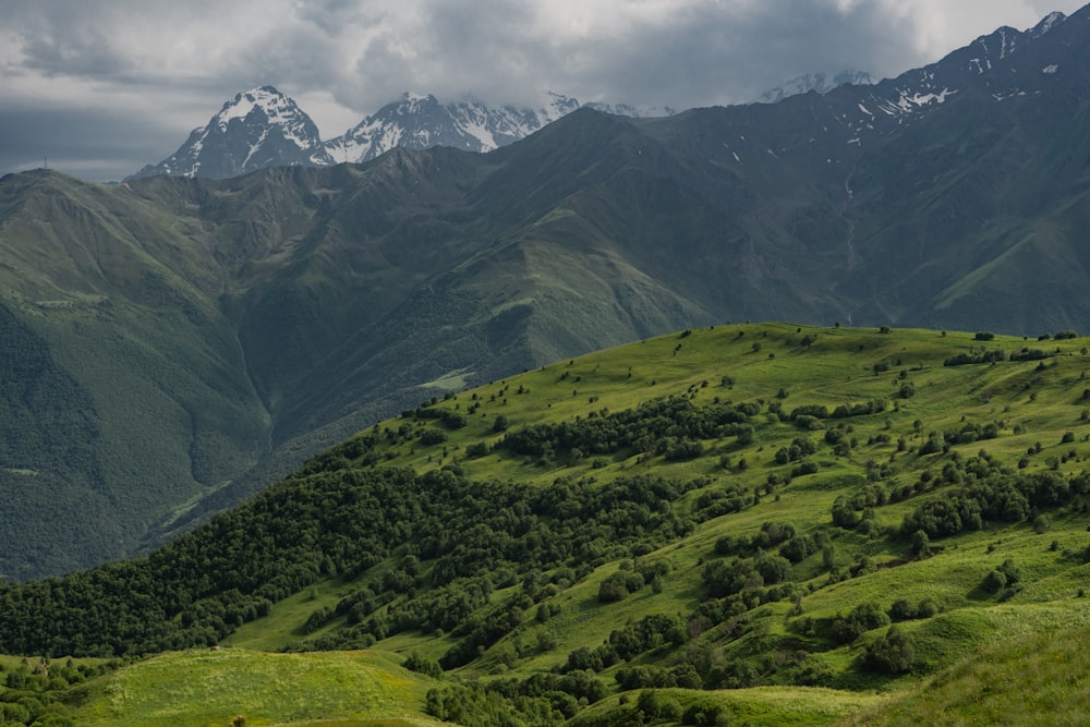 a lush green hillside with mountains in the background