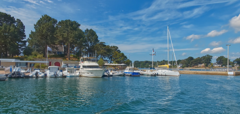 a bunch of boats that are in the water