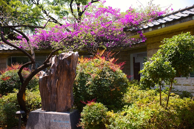 Cuihu Park