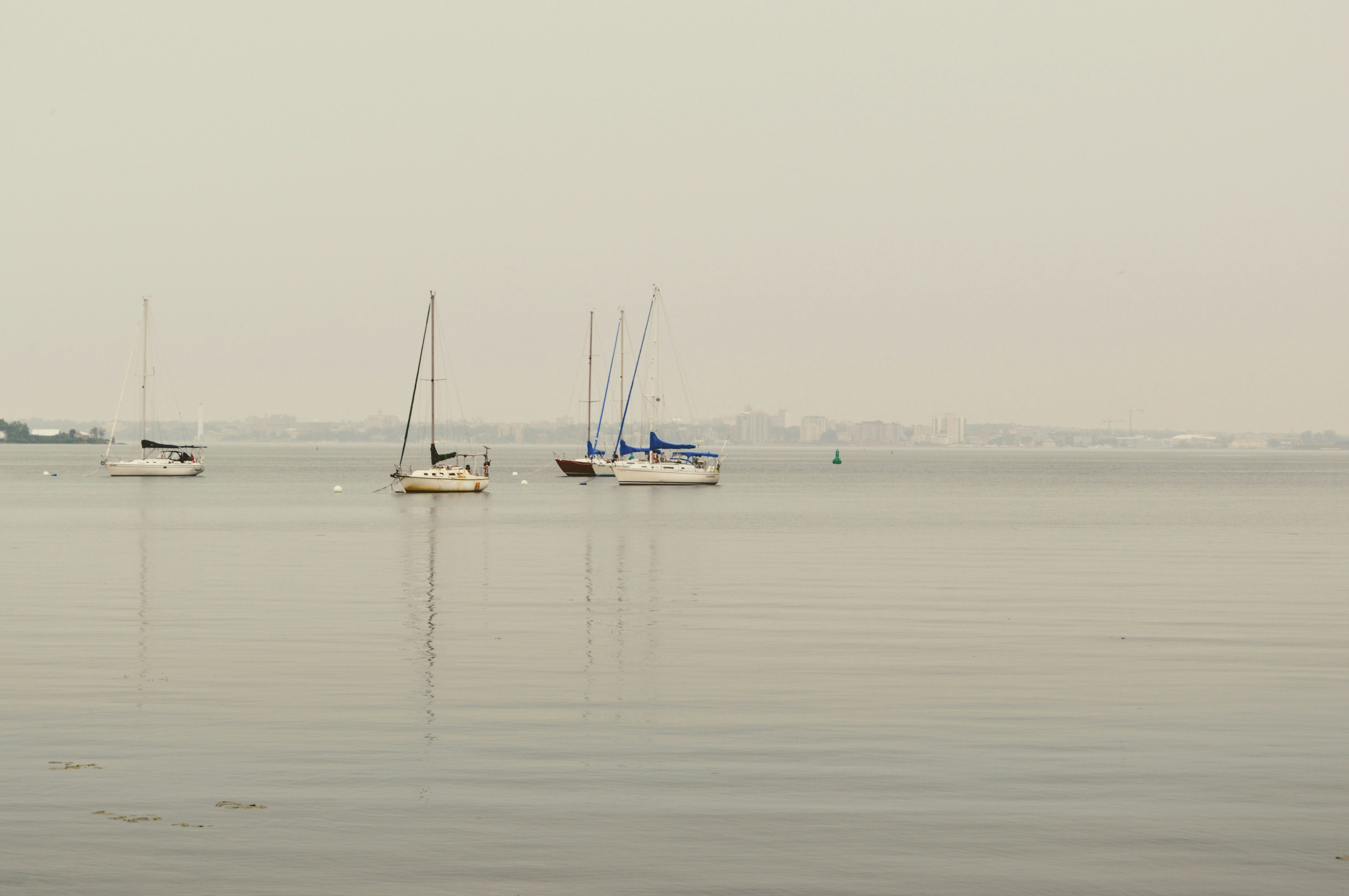 Photo by rmacleod2323