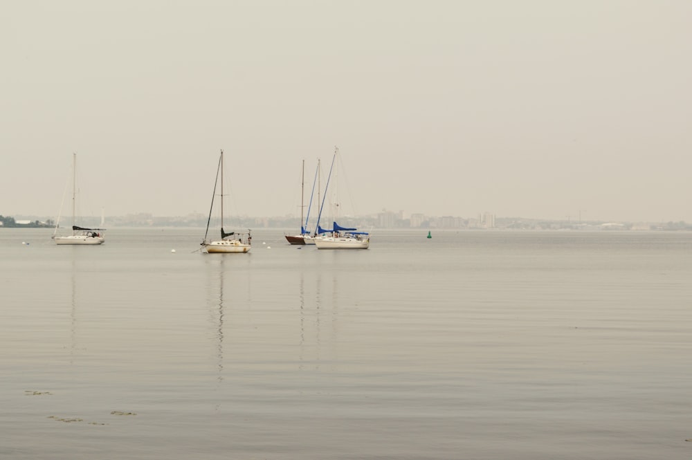 a group of sailboats floating on top of a large body of water