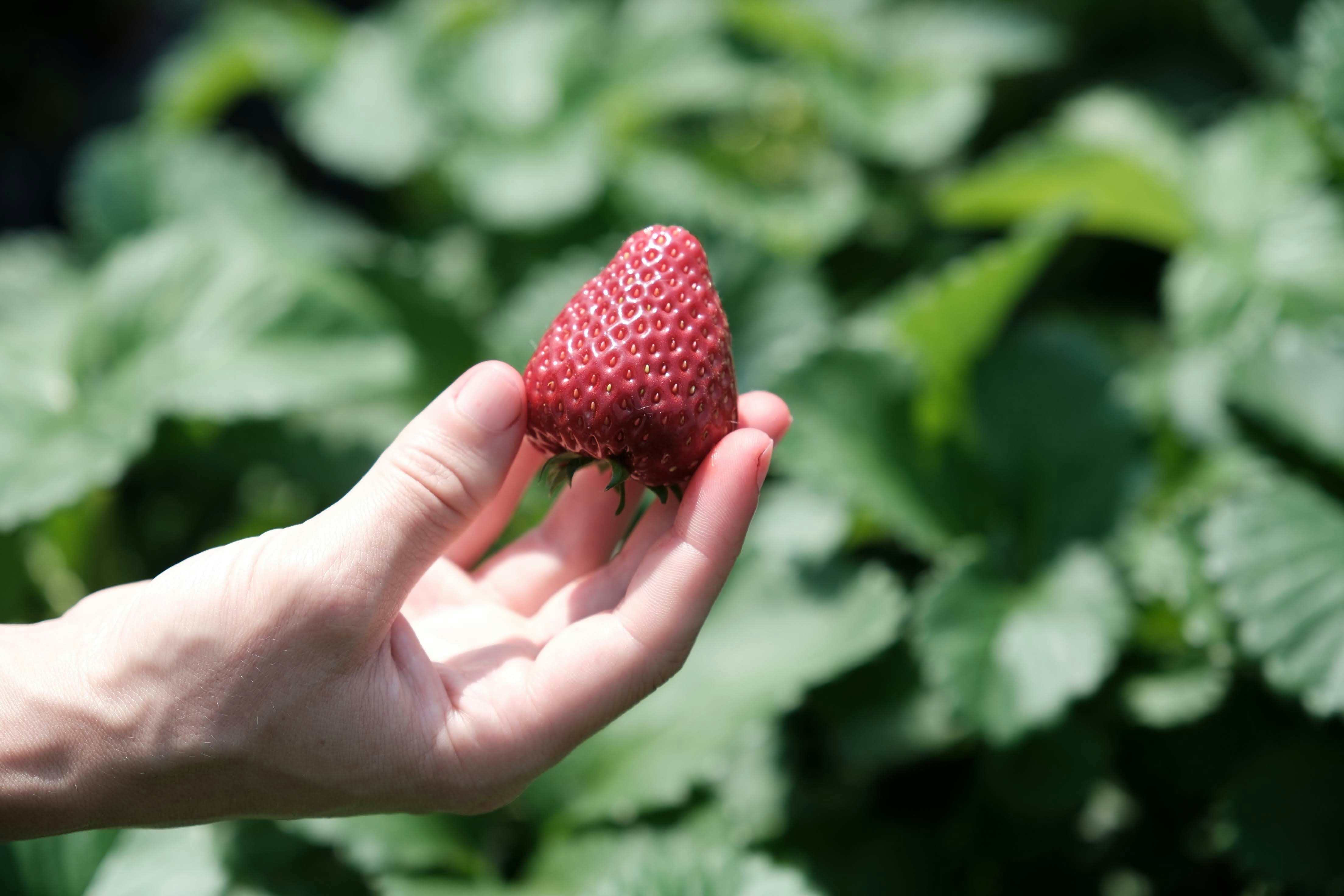 Photo by seiya_maeda