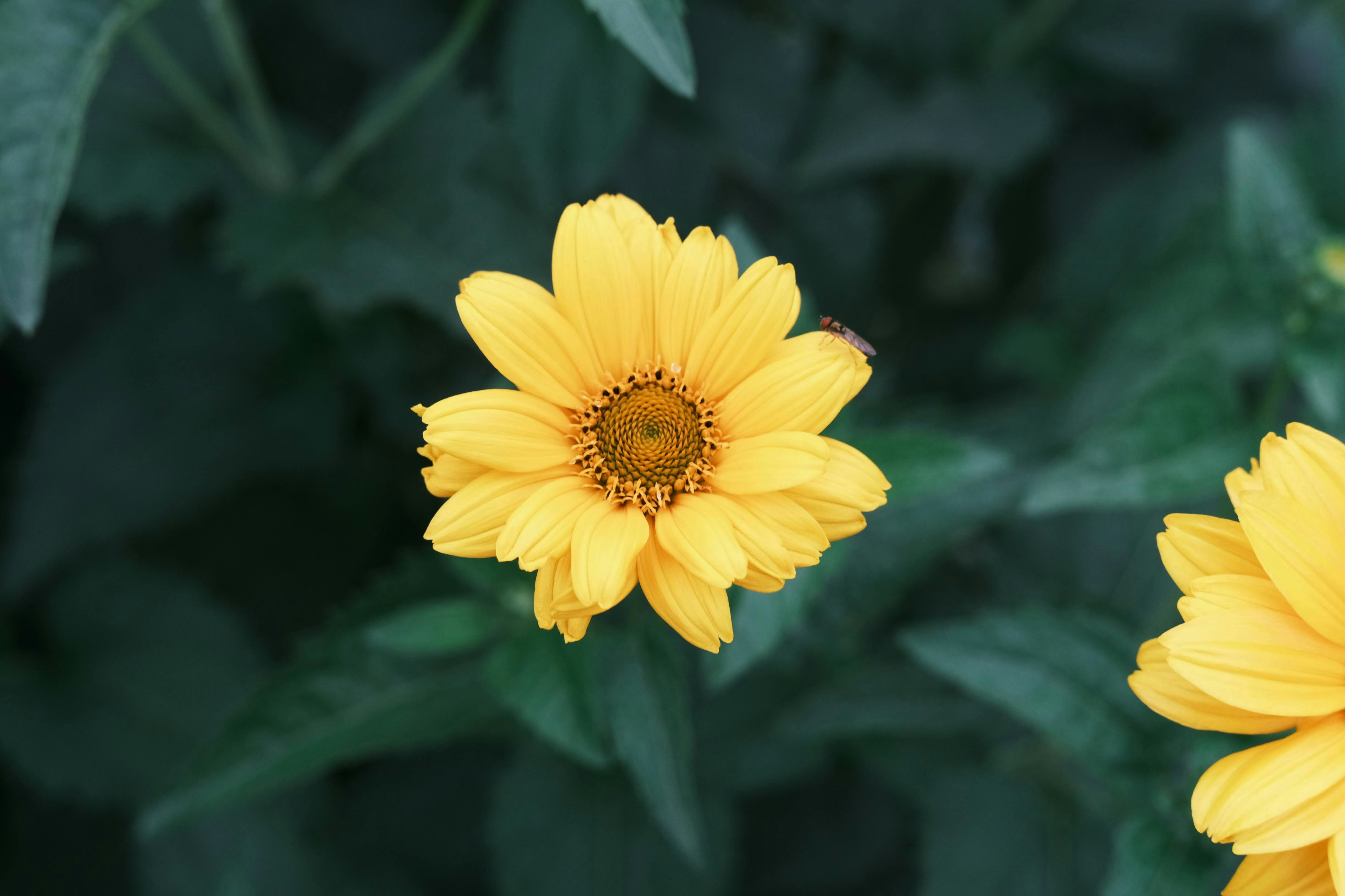 Photo by seiya_maeda