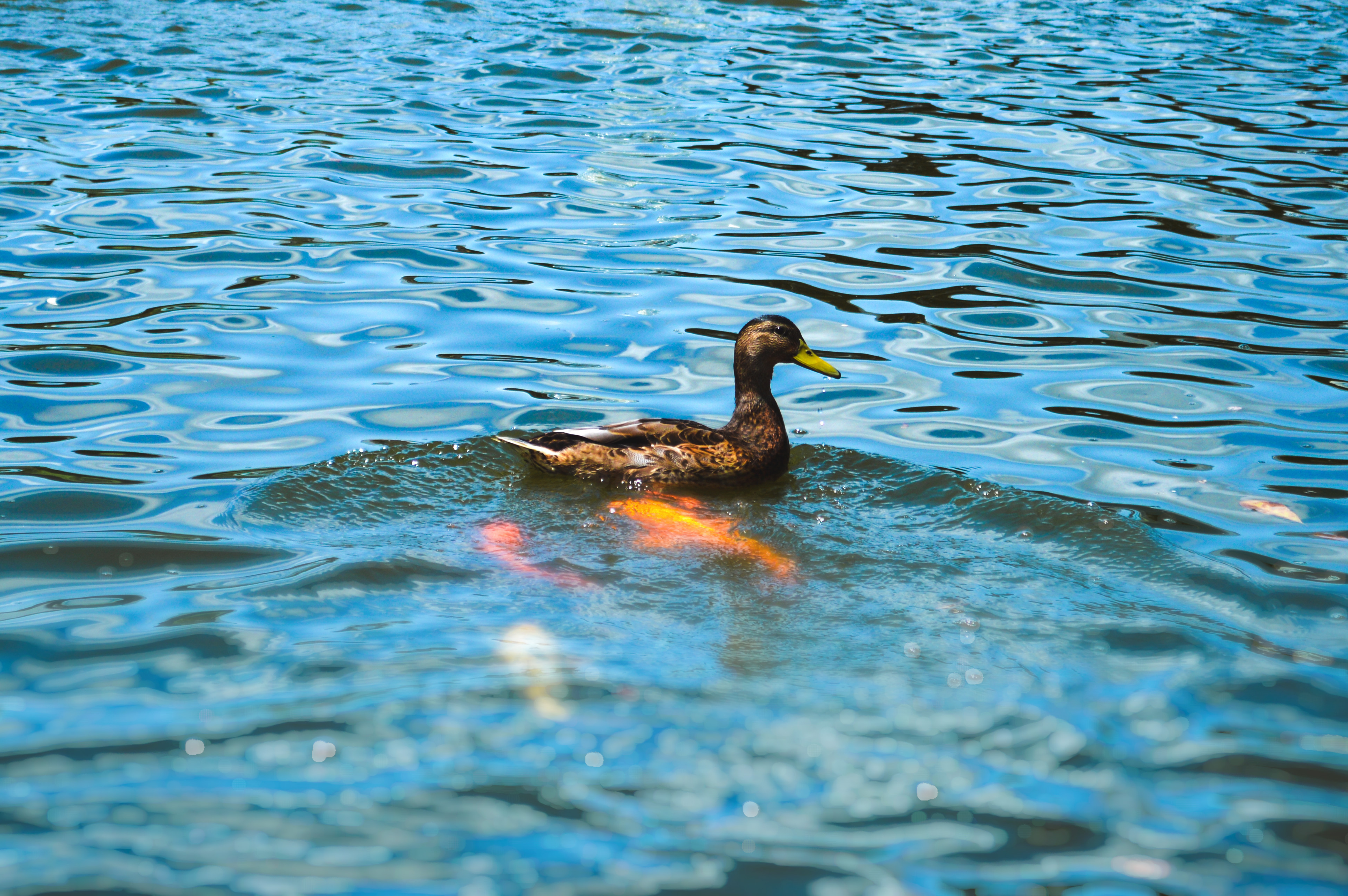 The Rehearsal That Never Ends