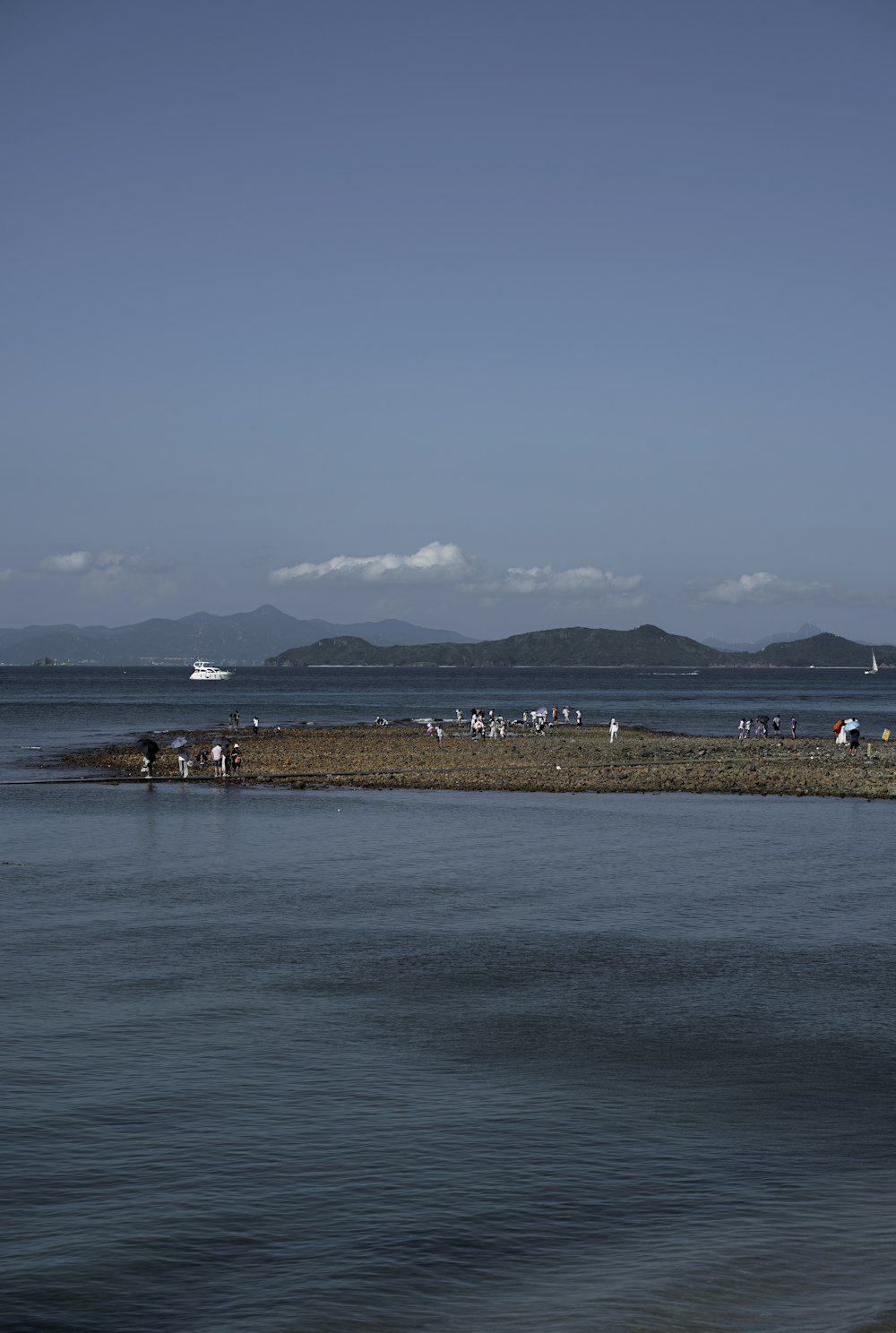 a large body of water with a bunch of birds on it